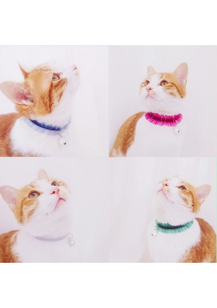 Siyah Stil S Beden Yeni Dantel Kedi Tasması Köpek Aksesuarları Kedi Aksesuarları Köpek Tasması Kedi Ağacı Kedi Oyuncak Kedi Giysileri Pet Coleira Gato (Yurt Dışından) modelleri