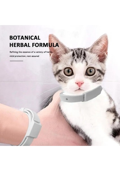 Kedi 39CM Tarzı Gösteri Olarak Yeni 8 Ay Pire ve Kene Önleme Yaka Kediler Köpek Koşum Sivrisinek Kovucu Yaka Böcek Sivrisinek Aksesuarları (Yurt Dışından) fırsatları