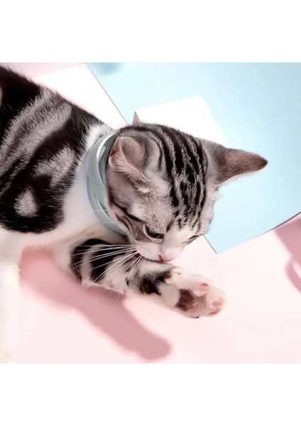 Kedi 39CM Tarzı Gösteri Olarak Yeni 8 Ay Pire ve Kene Önleme Yaka Kediler Köpek Koşum Sivrisinek Kovucu Yaka Böcek Sivrisinek Aksesuarları (Yurt Dışından) indirimleri