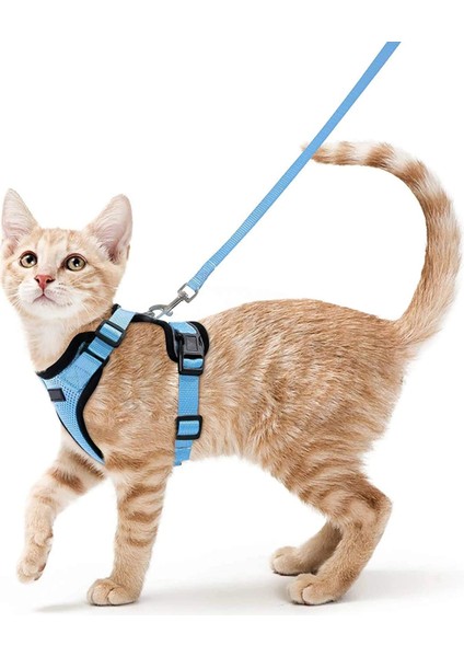 Mavi Stil S Beden Kedi Koşum ve Yürüyüş Için Tasma Kaçış Korumalı Kedi Için Yumuşak Ayarlanabilir Yelek Koşum Kolay Kontrol Nefes Alabilir Yansıtıcı Koşum (Yurt Dışından)