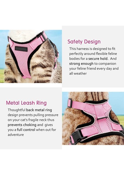 Mavi Stil S Beden Kedi Koşum ve Yürüyüş Için Tasma Kaçış Korumalı Kedi Için Yumuşak Ayarlanabilir Yelek Koşum Kolay Kontrol Nefes Alabilir Yansıtıcı Koşum (Yurt Dışından) indirimleri