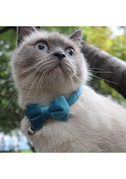 Kırmızı Stil Kadife Kedi Yaka Ilmek Ayarlanabilir Güvenlik Tokası Gatos Papyon Kedi Aksesuarları Yaka Çan Düz Renk ile Kediler Için (Yurt Dışından) fırsatları