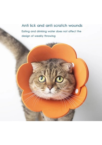Sarı Stil L Beden Ayçiçeği Şekilli Kedi Kurtarma Yaka Elizabethan Yaka Kitten Puppy x Için Yara Iyileştirici Koruyucu Koni (Yurt Dışından) fiyatları