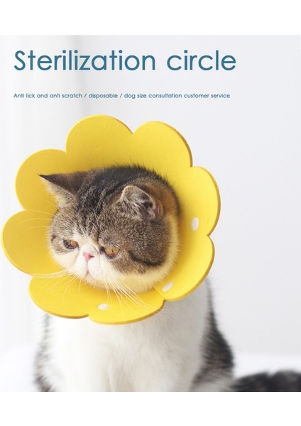 Sarı Stil L Beden Ayçiçeği Şekilli Kedi Kurtarma Yaka Elizabethan Yaka Kitten Puppy x Için Yara Iyileştirici Koruyucu Koni (Yurt Dışından) indirimleri