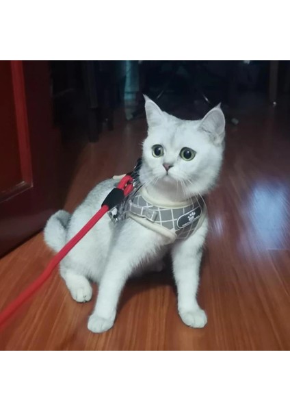 A-Haki Tarzı M Beden Kedi Köpek Koşum Halat Setleri Nefes Lüks Tasarımcı Göğüs Bandı Yansıtıcı Ayarlanabilir Evcil Hayvan Koşum Giyim Kediler Aksesuarları Için (Yurt Dışından) fırsatları