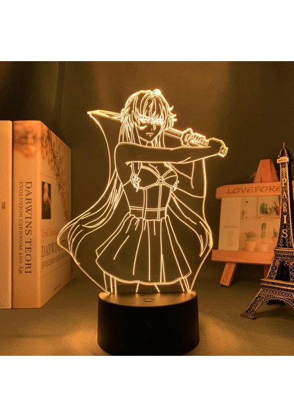 Erkek Için Gelecek Günlüğü Anime 3D Gece Lambası 16 Renkler Kız Odası Dekor Illusion LED Lamba USB Manga Yuno Gasai Şekil Uygun Çocuklar Hayranlar Noel Hediyeleri (Yurt Dışından)