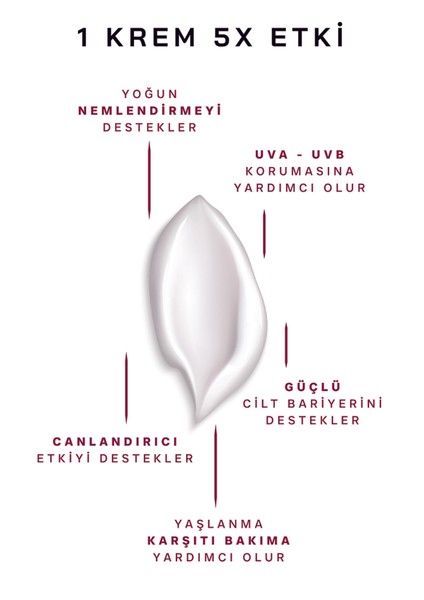 Face Cream Rich; Yoğun Nemlendirici, Besleyici, Canlandırıcı Zengin Içerik