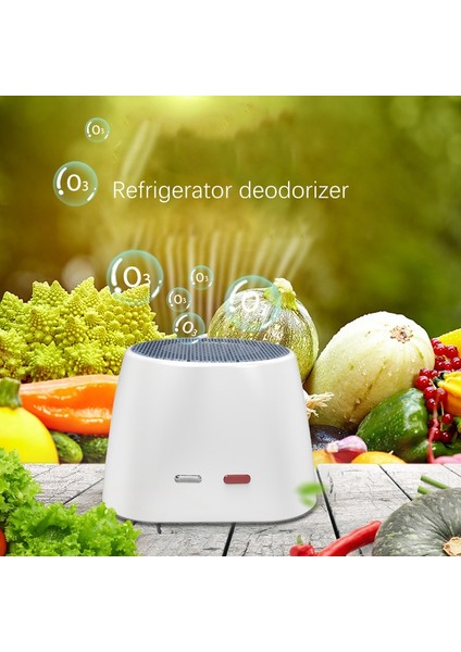 Küçük Taşınabilir Hava Temizleme Cihazı Buzdolabı Koku Giderici Filtre Siyah (Yurt Dışından) fiyatları