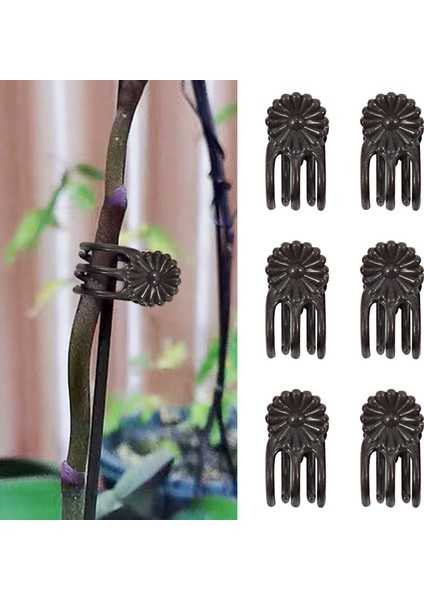 Paket 3 Ayarlanabilir Destek Halkalı 18 Inç Bitki Destek Kafesi (Yurt Dışından)