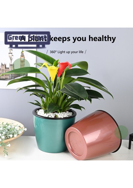 Yeşil Orman Saksı Otomatik Su Emme Kendinden Sulama Ekici Pot (Yurt Dışından) indirimleri