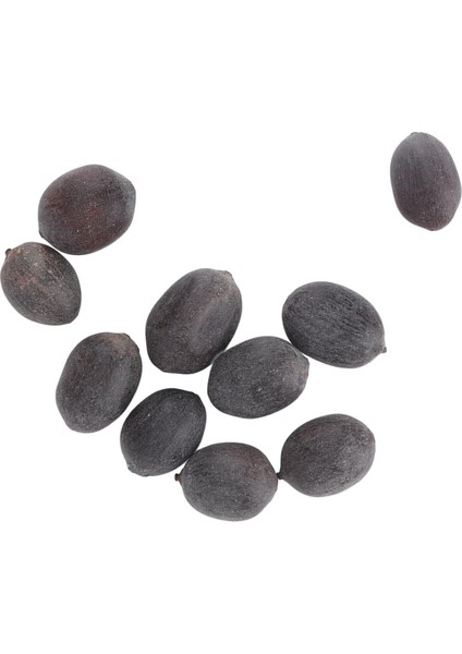 Lotus Bitki Tohumları, Bahçeler Için Yetiştirilmesi Kolay Lotus Tohumları (Yurt Dışından)