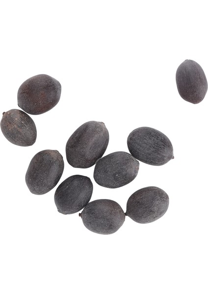 Lotus Bitki Tohumları, Bahçeler Için Yetiştirilmesi Kolay Lotus Tohumları (Yurt Dışından) fiyatları