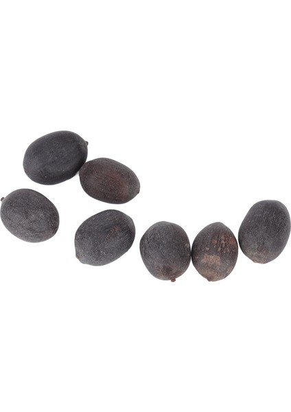 Lotus Bitki Tohumları, Bahçeler Için Yetiştirilmesi Kolay Lotus Tohumları (Yurt Dışından) modelleri