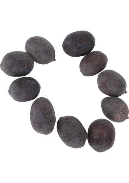 Lotus Bitki Tohumları, Bahçeler Için Yetiştirilmesi Kolay Lotus Tohumları (Yurt Dışından) fırsatları