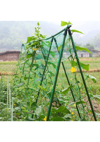 Büyüt Çit-1 x Kafes Ağ-Yeşil (Yurt Dışından)