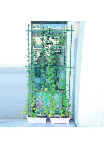 Büyüt Çit-1 x Kafes Ağ-Yeşil (Yurt Dışından) indirimleri