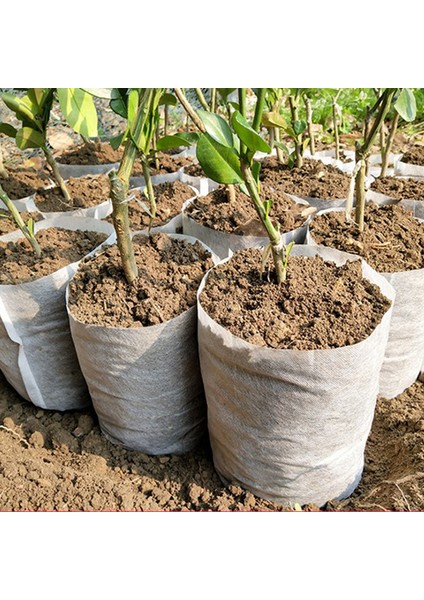 100 Adet Biyobozunur Dokumasız Kreş Çantaları Kumaş Çevre Dostu Dikim (Yurt Dışından) fiyatları