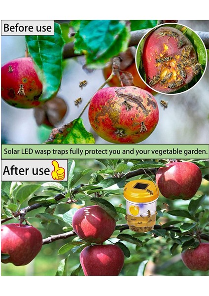2 Paket Solar Wasp Trap Dış Mekan Asma, Wasp Cather Asma Işıklı (Yurt Dışından) fırsatları