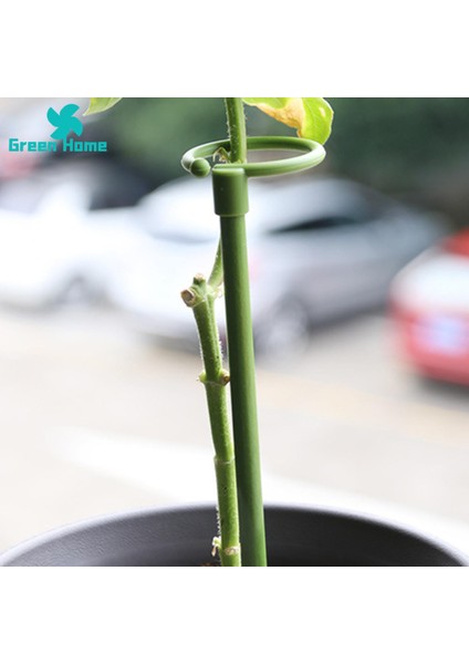 Yeşil Ev Bitki Destek Direği Dayanıklı Sağlam Hava Koşullarına Dayanıklı Bitki Tırmanma Çerçevesi (Yurt Dışından) indirimleri