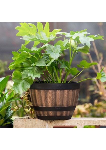 Saksı Büyük Kapasiteli Kapalı Açık Bitki Saksıları Çiçek Yetiştiricilerinin (Yurt Dışından) fırsatları