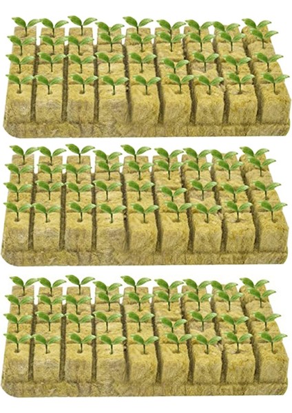 Klonlama Küpleri-50 x Topraksız Fişler-Gösterildiği Gibi (Yurt Dışından)