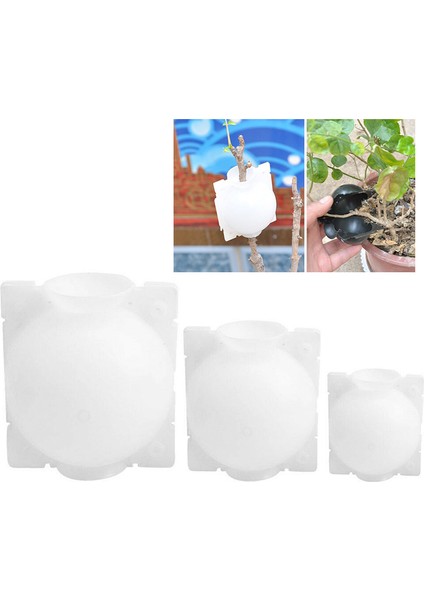 Bitki Köklendirme Cihazı Yüksek Basınçlı Yayılım Topu Kutusu Büyüyen 5-12CM Karşılaşma (Yurt Dışından)