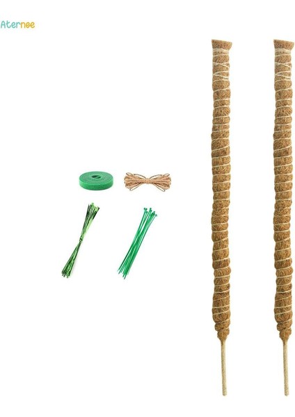 2x Hindistan Cevizi Palmiye Sarmaları Tırmanma Bitkileri Için Çubuk Uzatma Monstera Saksı 60CM (Yurt Dışından)