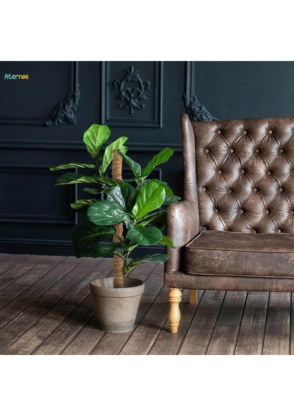 2x Hindistan Cevizi Palmiye Sarmaları Tırmanma Bitkileri Için Çubuk Uzatma Monstera Saksı 60CM (Yurt Dışından) modelleri