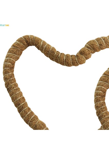 2x Hindistan Cevizi Palmiye Sarmaları Tırmanma Bitkileri Için Çubuk Uzatma Monstera Saksı 60CM (Yurt Dışından) fırsatları