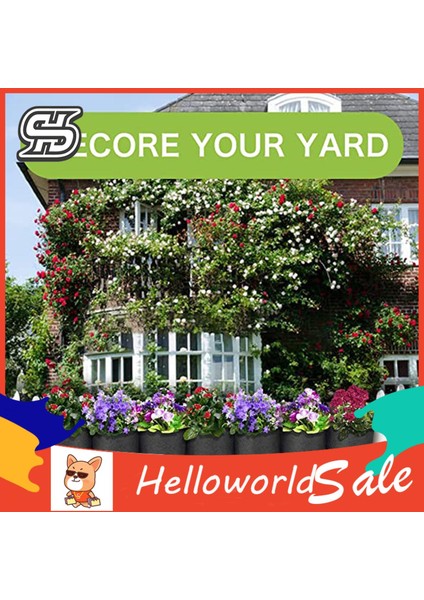 Helloworld Büyüme Kutusu Aşınmaya Dayanıklı Ev Dekorasyonu Asılı Duvar Ekiciler (Yurt Dışından)