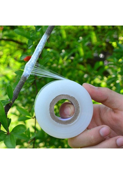 Kendinden Yapışkanlı Bonsai Aşılama Bandı-10 x Aşılama Bantları-Beyaz ve Şeffaf (Yurt Dışından)
