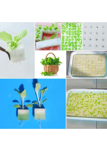 50 Adet/paket Çevre Dostu Sünger Küpler Topraksız Yetiştirme Ortamı Topraksız Yetiştirme Aracı (Yurt Dışından)