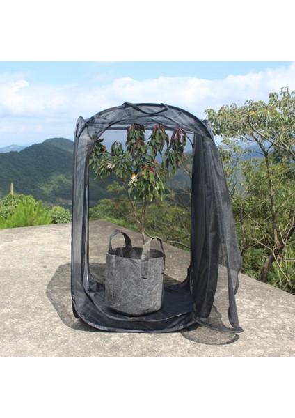 Kelebek Kafesi Katlanabilir Monarch Kelebek Böcek Örgü Kafesi (Yurt Dışından) modelleri