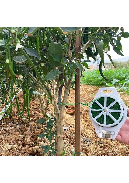 Domates Fidesi-4 * Kravat Teli-Beyaz & Yeşil (Yurt Dışından) fiyatları