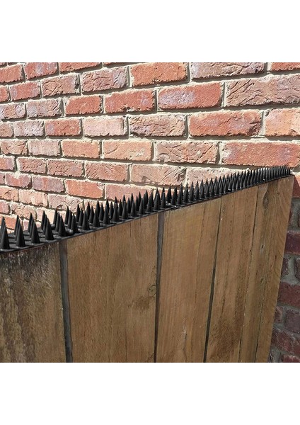 Anti Tırmanma Podazz Için Plastik Kuş Başak Duvar Çit Sivri Uçları Yard Kuş Sivri Uçları (Yurt Dışından)