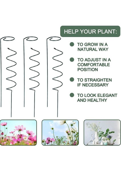 Bitki Tırmanma Hissesi Paslanmaya Karşı Dayanıklı Sağlam Bitki Destek Rafı Phalaenopsis Hissesi (Yurt Dışından)