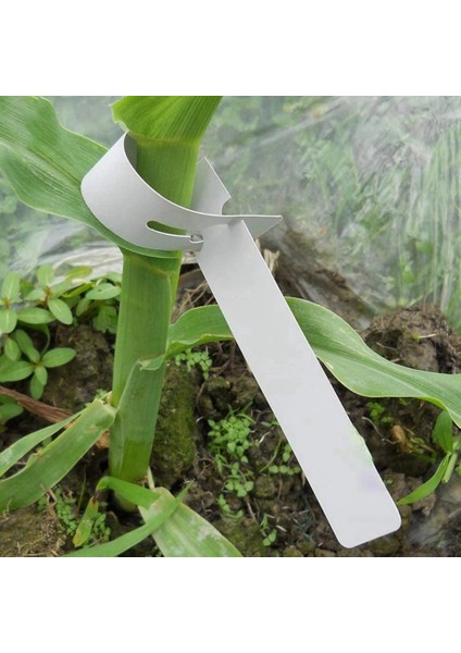 Plastik Bitki Etiketleri Ağaç Etiketleri Etrafına Sarılır, Ayarlanabilir Fidanlık Bahçesi (Yurt Dışından) fırsatları