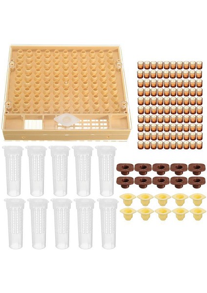 Arılar Araçları Kafesleri Kral Kraliçe Yetiştirme Cupkit Sistemi Arı Arıcılık Yakalayıcı Kutusu Seti Güneş Işığı Süper Mağaza (Yurt Dışından)