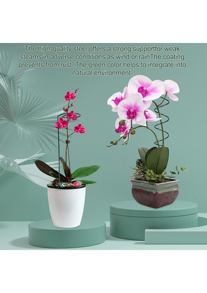 Bitki Tırmanma Hissesi Paslanmaya Karşı Dayanıklı Sağlam Bitki Destek Rafı Phalaenopsis Hissesi (Yurt Dışından)