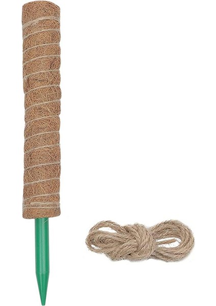 Bitki Tırmanma Hissesi Kullanımı Kolay Hava Koşullarına Direnç Bitki Büyüme Hissesi (Yurt Dışından)