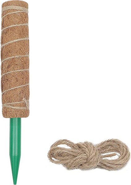 Bitki Tırmanma Hissesi Kullanımı Kolay Hava Koşullarına Direnç Bitki Büyüme Hissesi (Yurt Dışından) fiyatları