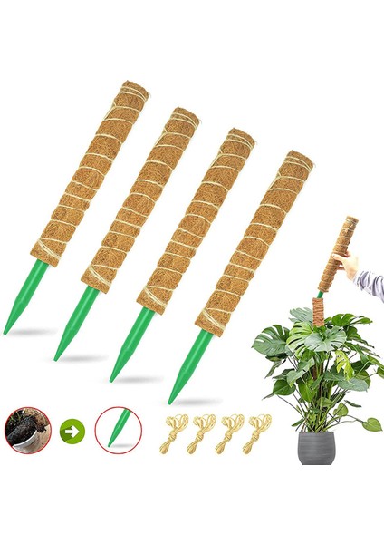 Bitki Tırmanma Hissesi Kullanımı Kolay Hava Koşullarına Direnç Bitki Büyüme Hissesi (Yurt Dışından) modelleri