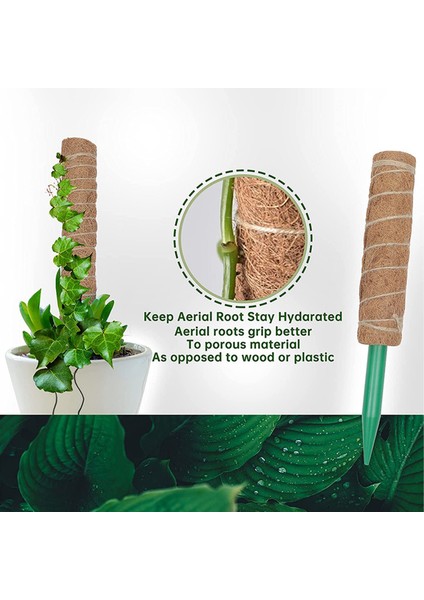 Bitki Tırmanma Hissesi Kullanımı Kolay Hava Koşullarına Direnç Bitki Büyüme Hissesi (Yurt Dışından) indirimleri