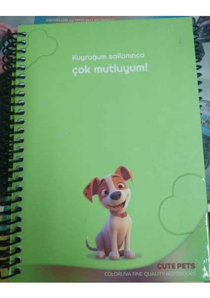 17*24 80YAPRAK Kareli Cute Pets Sert Kapak Beyaz Defter