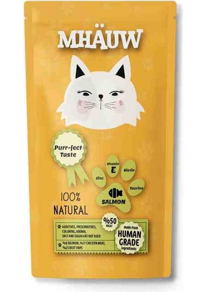 Kedi Mamasi
