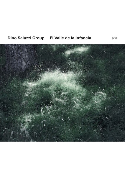 El Valle De La Infancıa-Cd