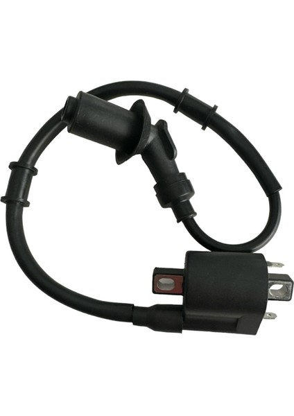 Ateşleme Bobini Mondial Ritmica 110 Orijinal