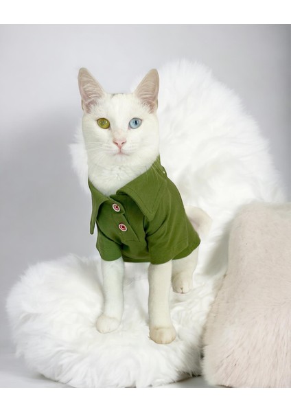 Grass Green Kedi Gömleği Kedi Kıyafeti Kedi Elbisesi