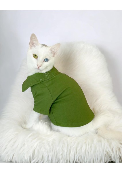 Grass Green Kedi Gömleği Kedi Kıyafeti Kedi Elbisesi fiyatları
