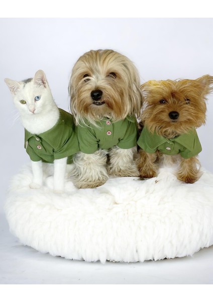 Grass Green Köpek Gömleği Köpek Kıyafeti Köpek Elbisesi